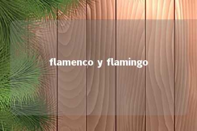 flamenco y flamingo 